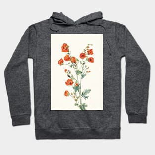 Scarlet globemallow - Botanical Illustration Hoodie